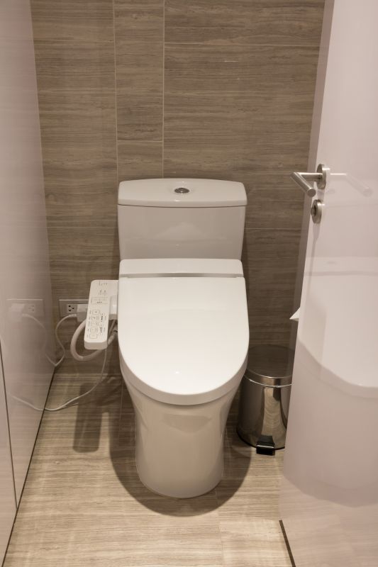 Smart Toilet Installation